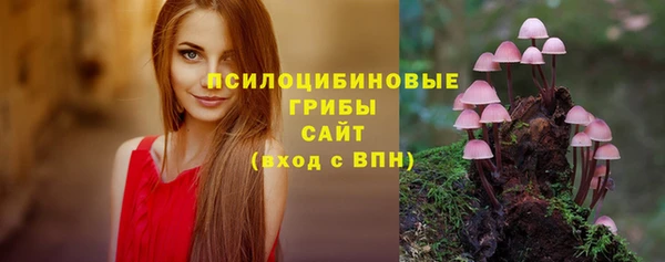 шишки Алексеевка