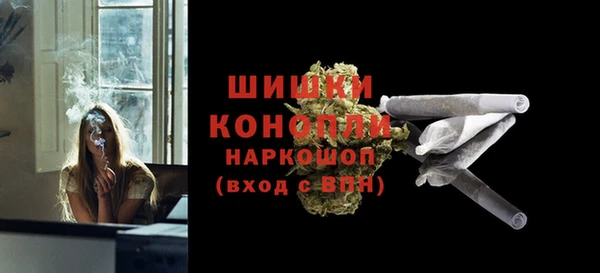 стаф Аркадак
