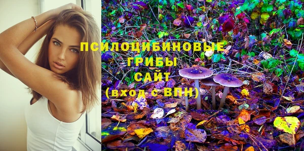таблы Армянск