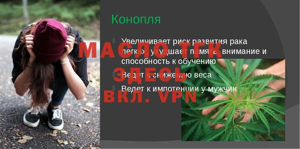 стаф Аркадак