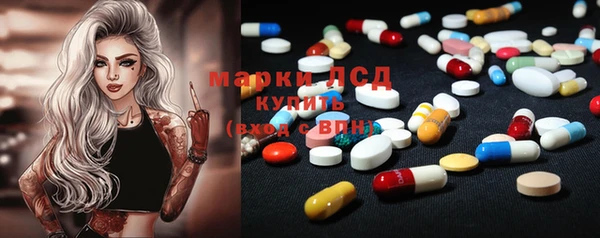 прущая мука Арсеньев