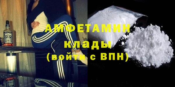 стаф Аркадак