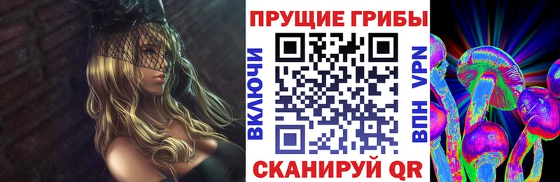 MEGA зеркало  Старая Купавна  нарко площадка как зайти  Псилоцибиновые грибы Psilocybe 